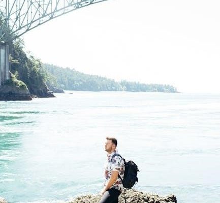 the washington journey textbook pdf