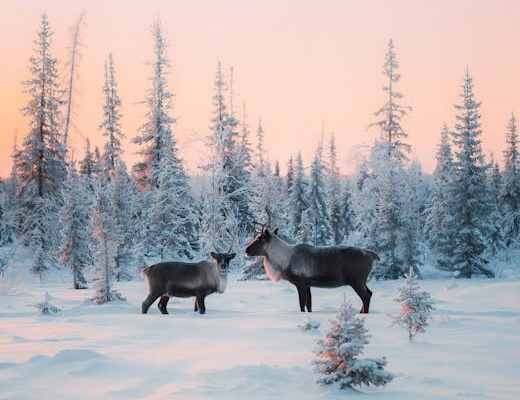 harry potter and the chamber of secrets free pdf