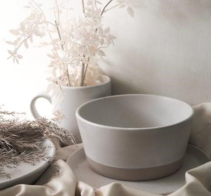 can-am owners manual free download