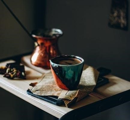 aroma 10 cup rice cooker instructions