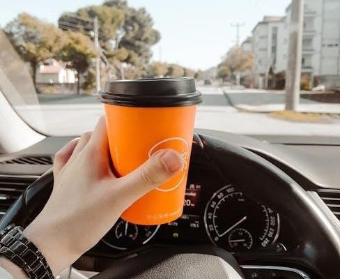 citizen eco drive promaster 200m diver’s watch manual