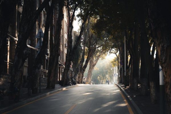 divergent filetype pdf