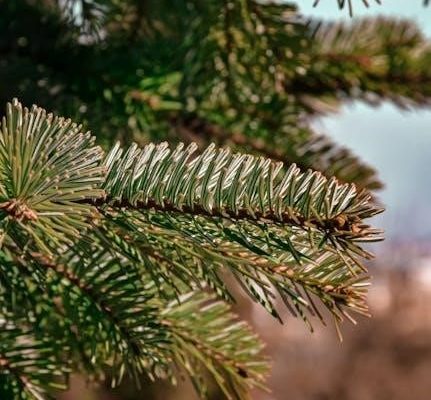 pathophysiology of sepsis pdf