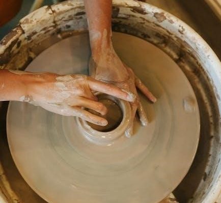 shark stratos manual