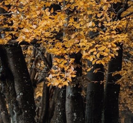 pídeme lo que quieras en pdf