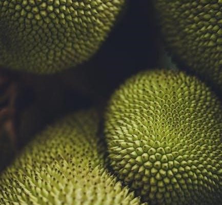 actionable insights with amazon quicksight pdf