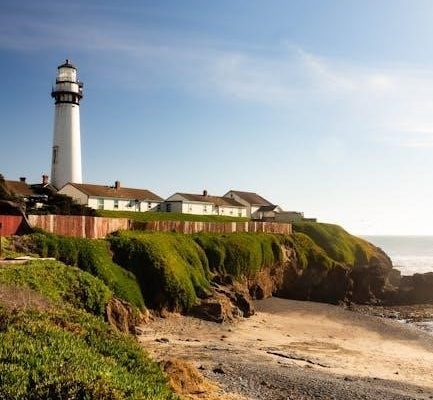 manual canon rebel t3