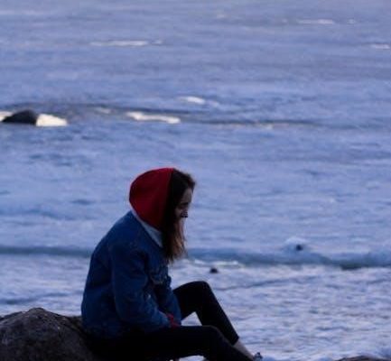 red ocean blue ocean pdf