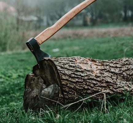 2013 chrysler town and country manual