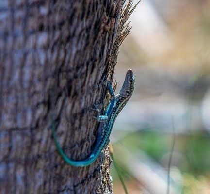 tn turkey hunting guides