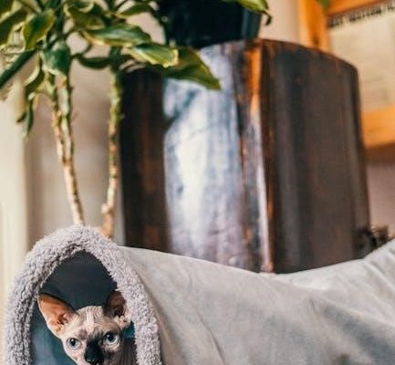 marcy and the riddle of the sphinx pdf