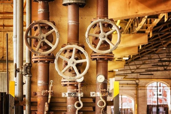 bd vacutainer tube guide pdf