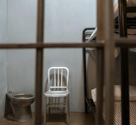 metal bunk bed assembly instructions pdf