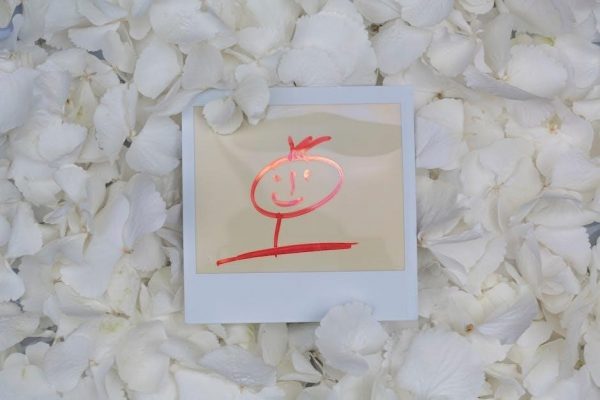 instant pot duo manual pdf