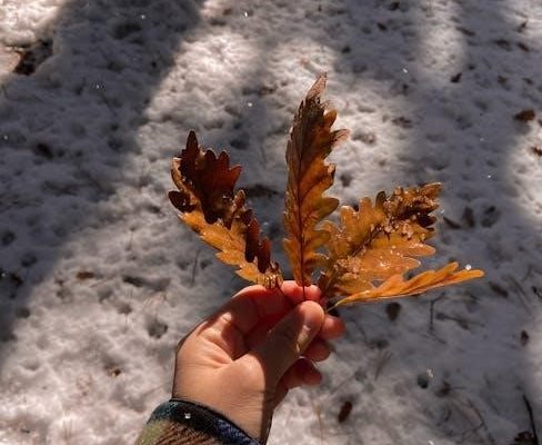 army ground guide hand signals