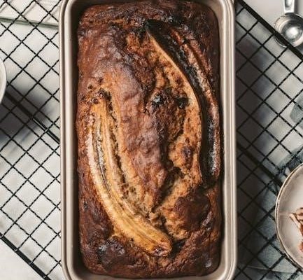 heyday earbuds 08 manual