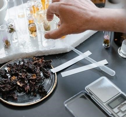 craft of research pdf