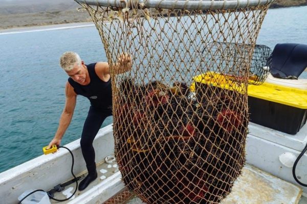 tracker boat manuals