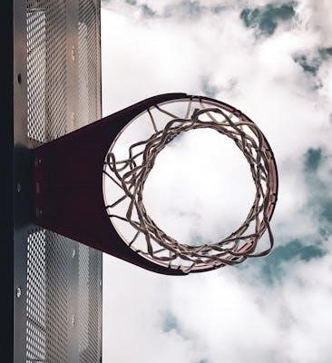 peoria manual basketball